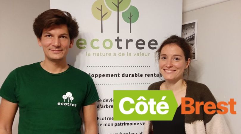 Brest : EcoTree, l'entreprise qui propose de s'offrir un arbre que l'on peut visiter