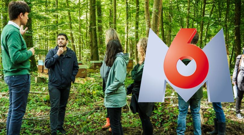 M6 - Une société propose d'investir dans les massifs forestiers