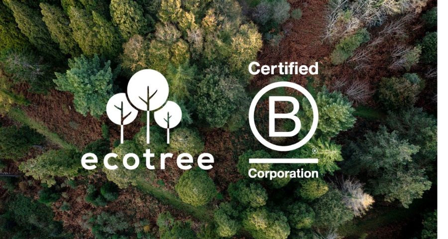 EcoTrees positiva effekt på planeten erkänns av B Corp