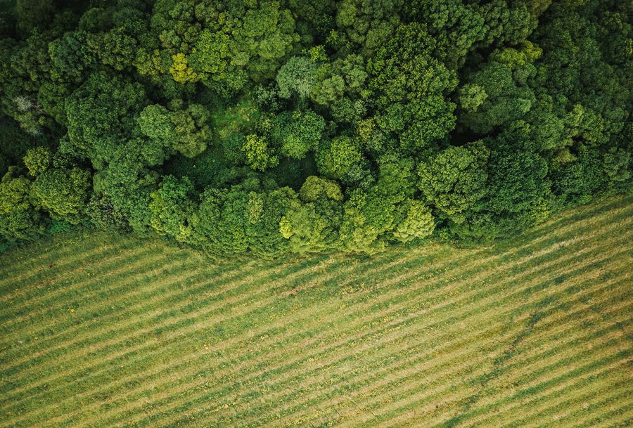 What is agroforestry and why is it good for the environment?