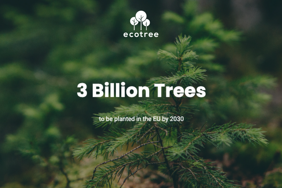 EcoTree er med til at plante 3 milliarder træer