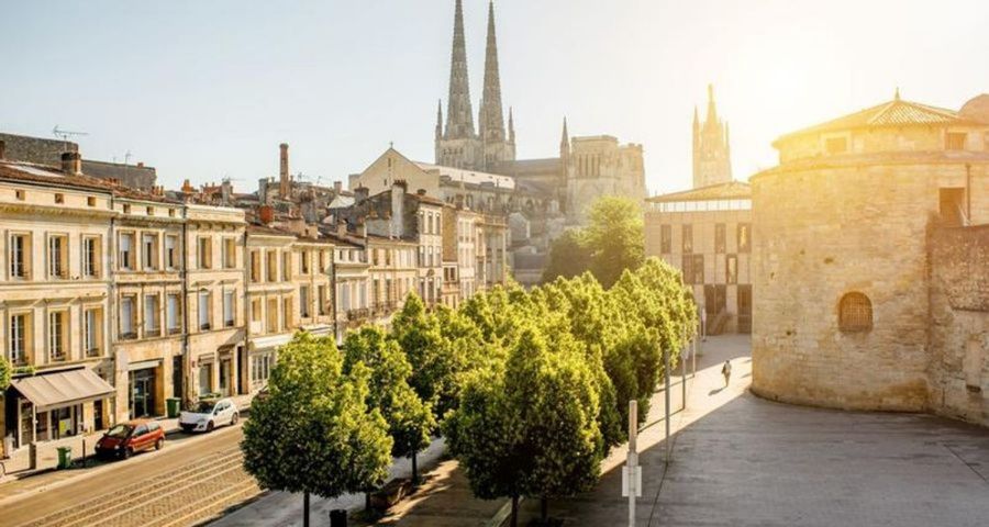 Bordeaux lutte contre la chaleur en plantant des arbres
