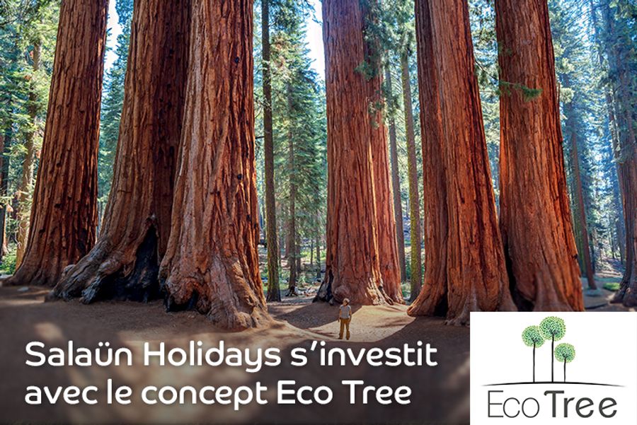 Salaün Holidays s’investit avec le concept EcoTree