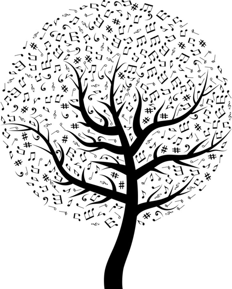 La musique des arbres