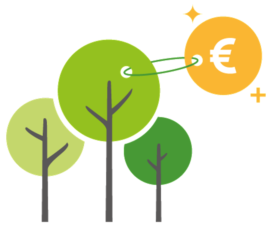 Ecotree Your Economical And Ecological Investment In A Greener Planet