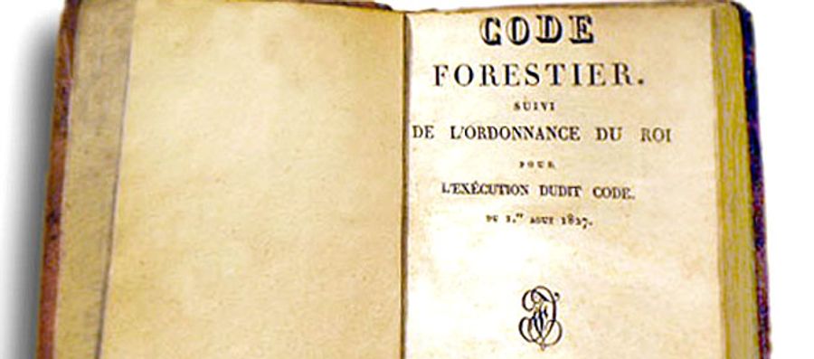 Le code forestier au service de la protection des  forêts françaises