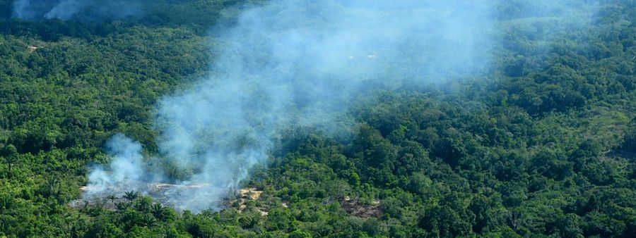 Incendies dans la forêt amazonienne