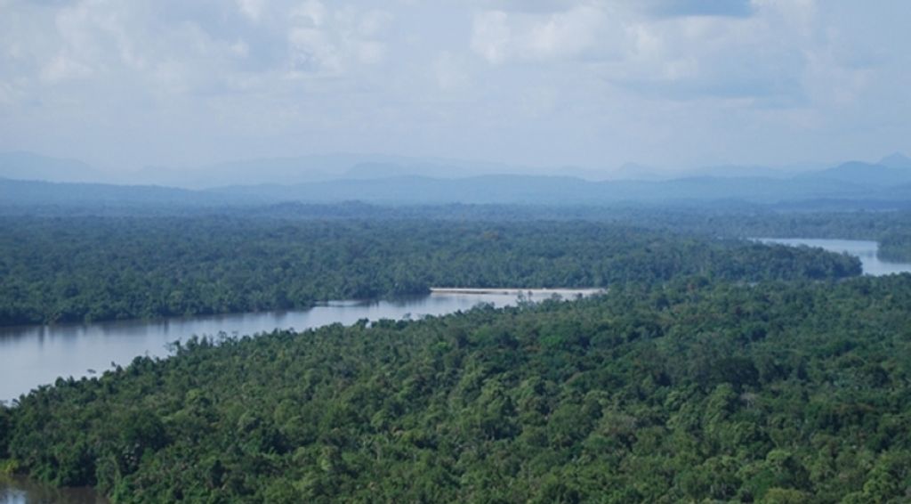 La Norvège fixe le prix du carbone mondial et incite le Gabon à préserver sa forêt
