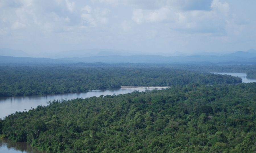 La Norvège fixe le prix du carbone mondial et incite le Gabon à préserver sa forêt