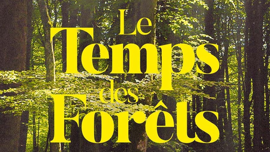 "Le temps des forêts" : Un documentaire édifiant qui appelle à la raison !