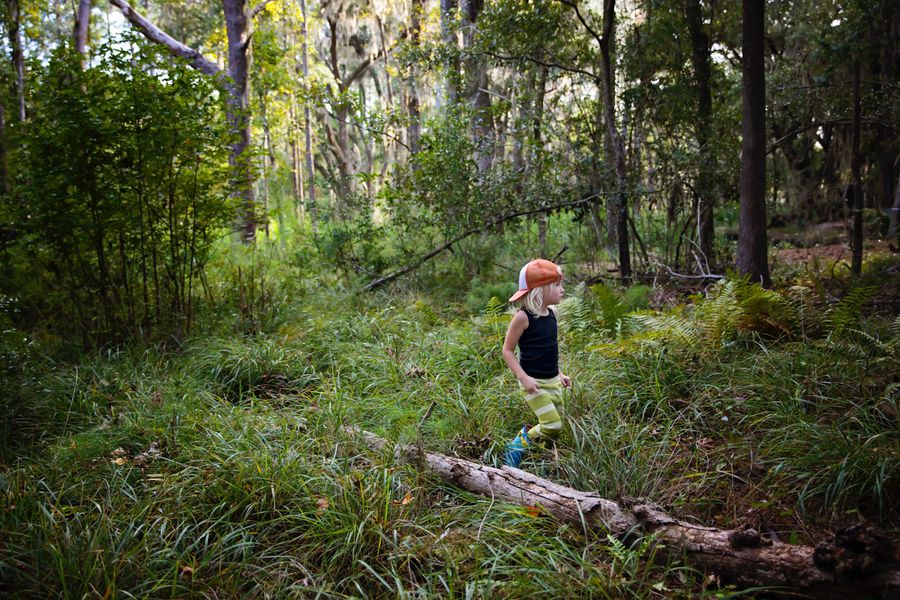 En Finlande, des garderies reproduisent des “sols forestiers” pour la santé des enfants