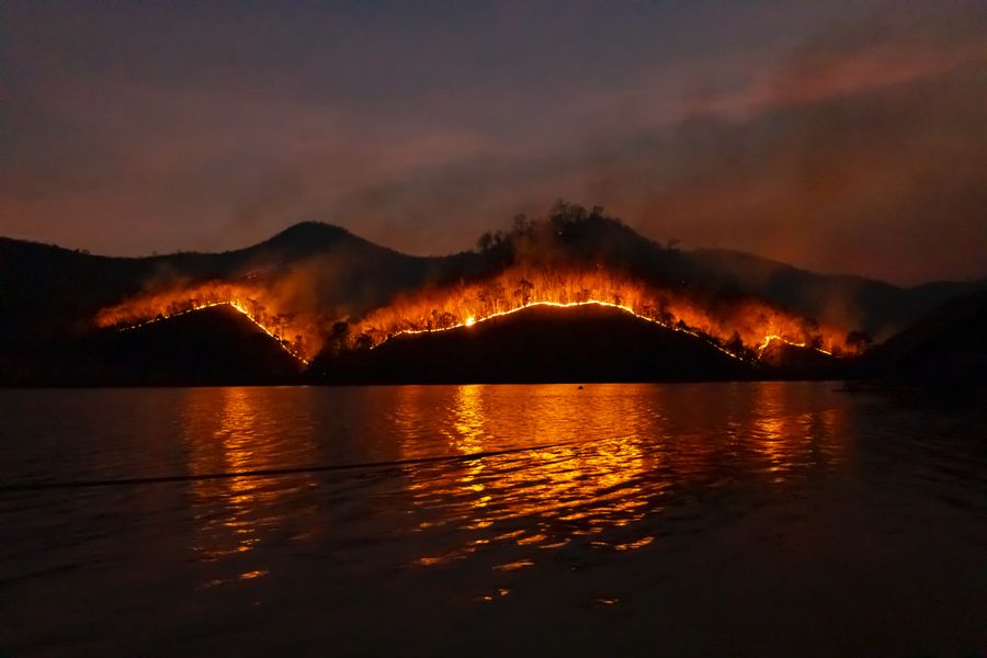 Quelles règles pour protéger les forêts des incendies ?