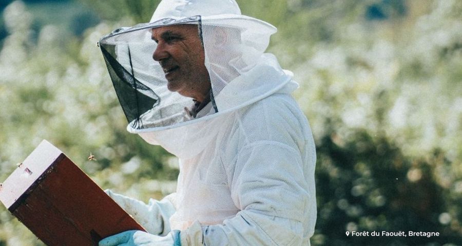 Entretien avec Gilles Kervot, apiculteur, producteur de miel pour EcoTree