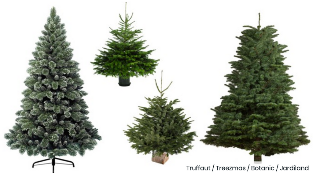 Why you should buy a real tree this Christmas