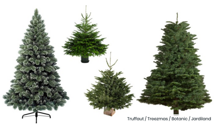 Waarom je voor een echte kerstboom moet gaan