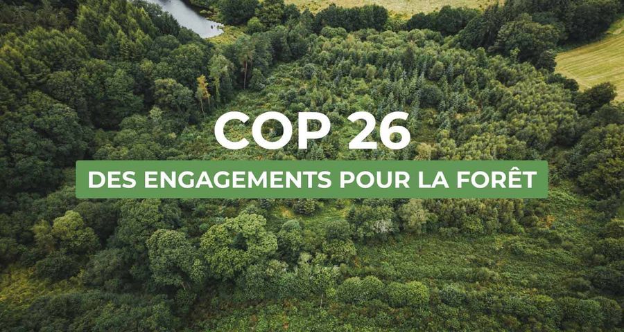 À la COP26, des engagements pris en faveur des forêts