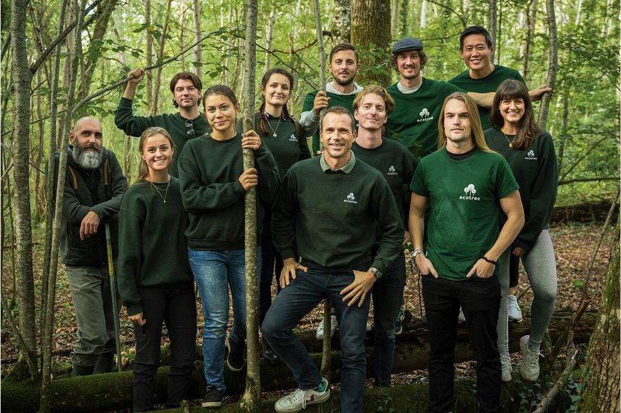 Tag ejerskab over træer fra bæredygtige skove i Danmark