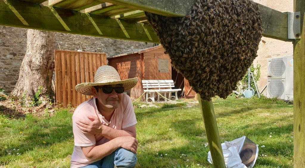 Qu’est-ce que l’essaimage chez les abeilles ?